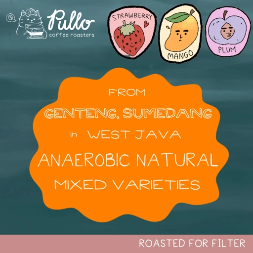Image of Genteng Sumedang Anaerobic Natural Mixed Varieties - Filter Specialty Coffee Beans - Pullo Coffee Roasters