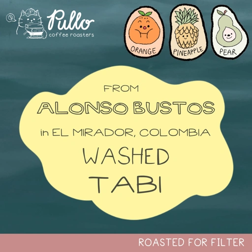 Image of Colombia Alonso Bustos El Mirador Washed Tabi - Filter Specialty Coffee Beans - Pullo Coffee Roasters
