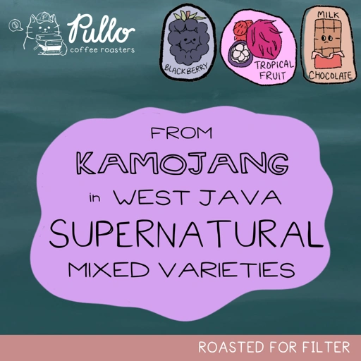 Image of Wanoja Kamojang Supernatural Mixed Varieties - Filter Specialty Coffee Beans - Pullo Coffee Roasters