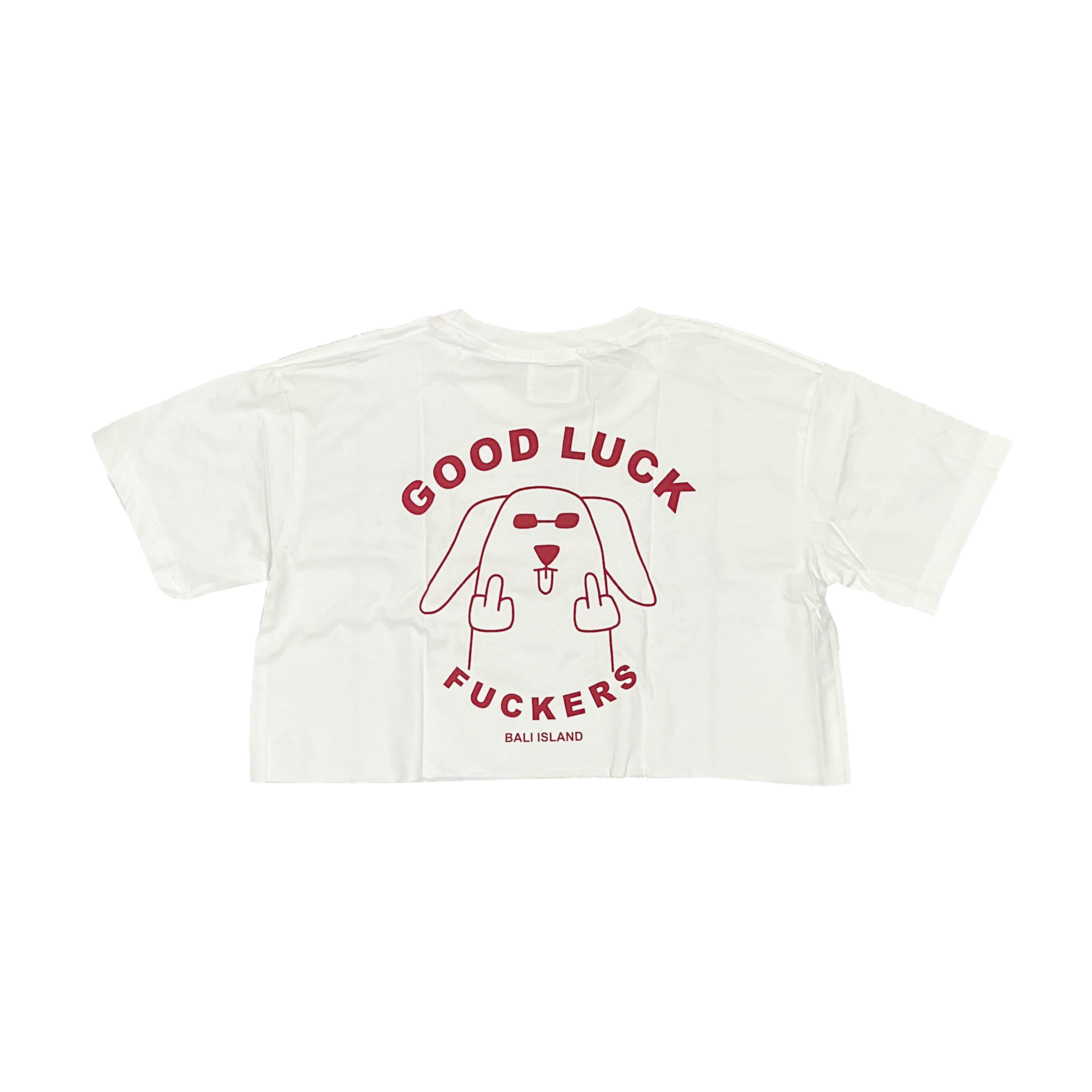 CROP TEE GOOD LUCK OFF WHITE