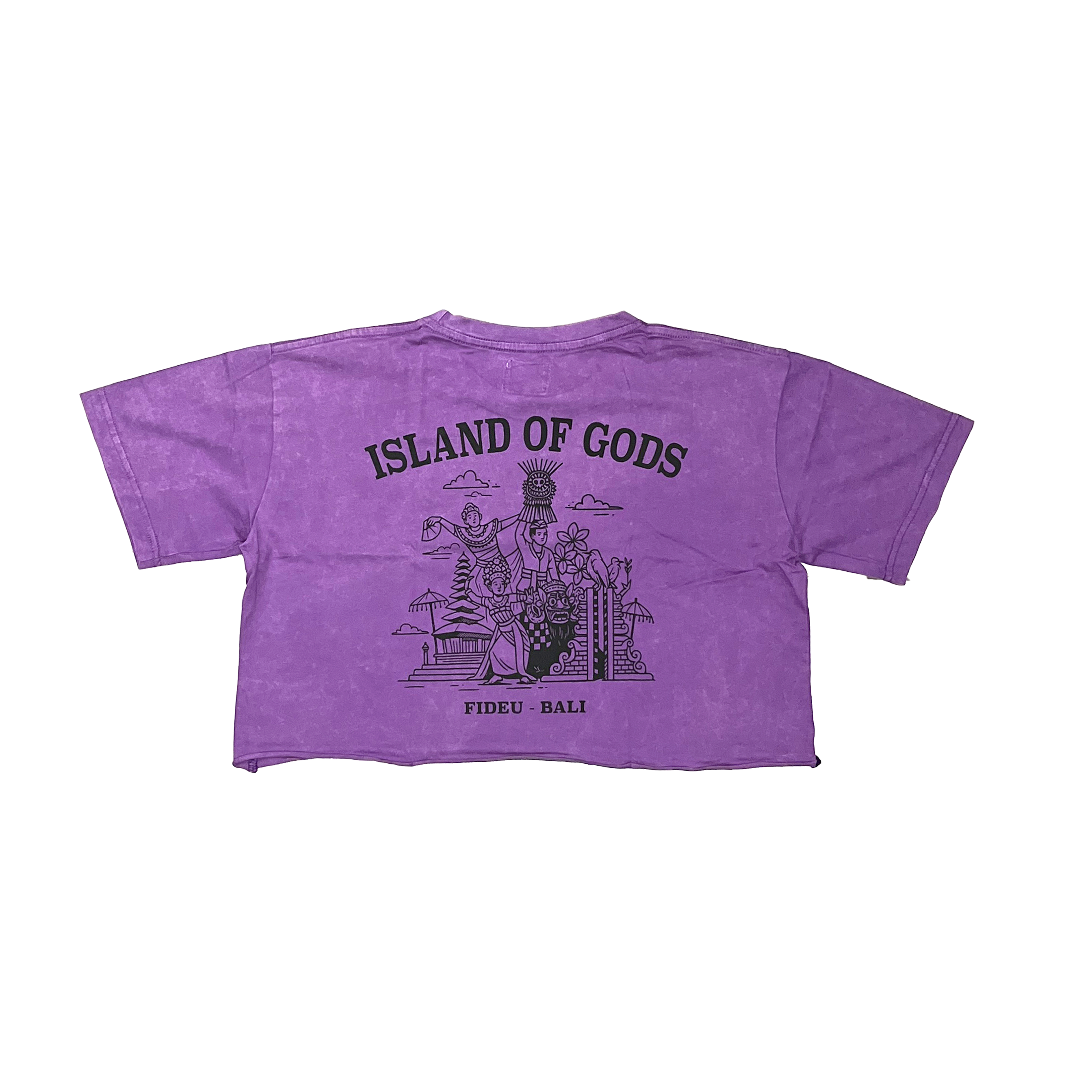 CROP TEE IOG PURPLE WASH