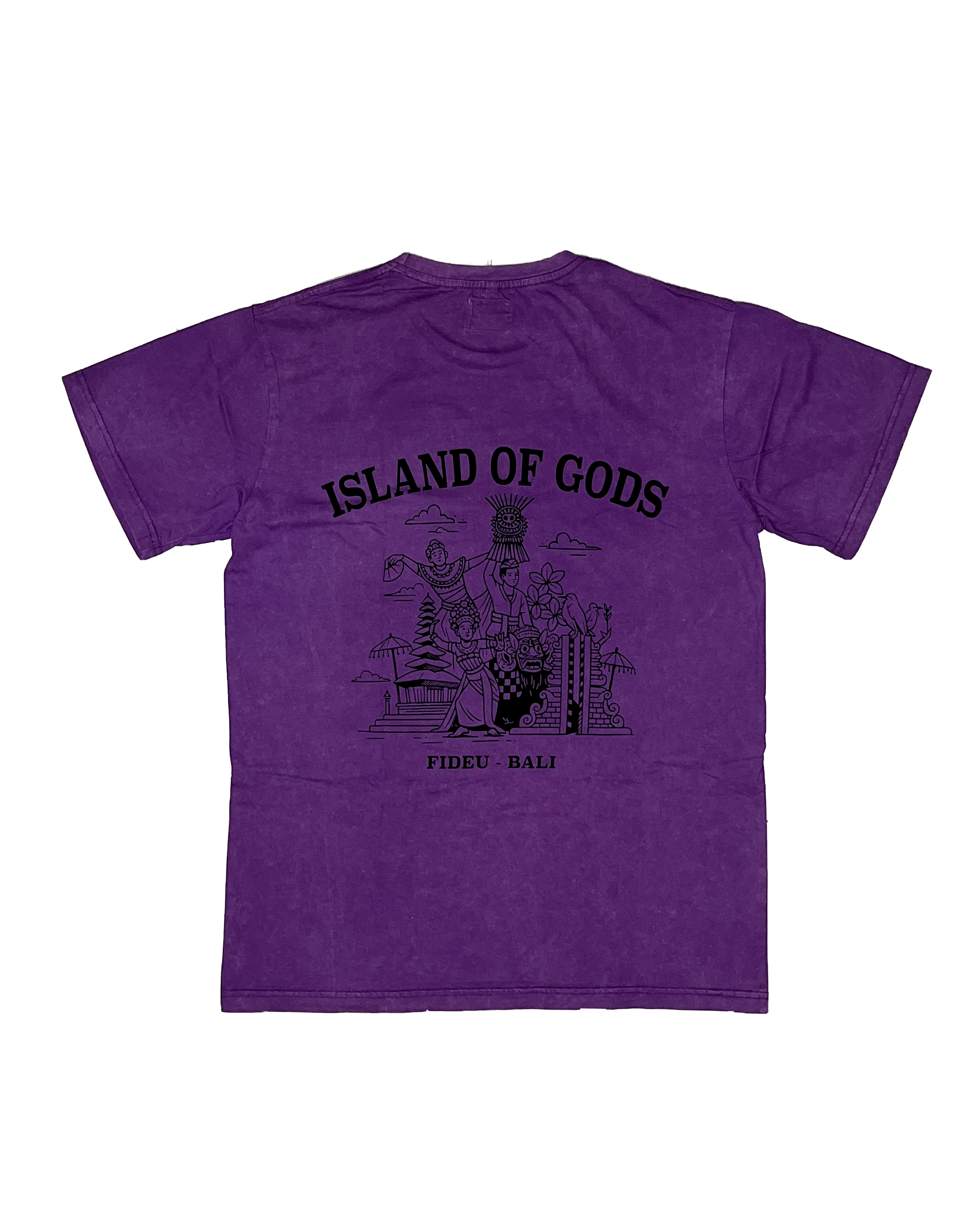 T SHIRT IOG PURPLE WASH