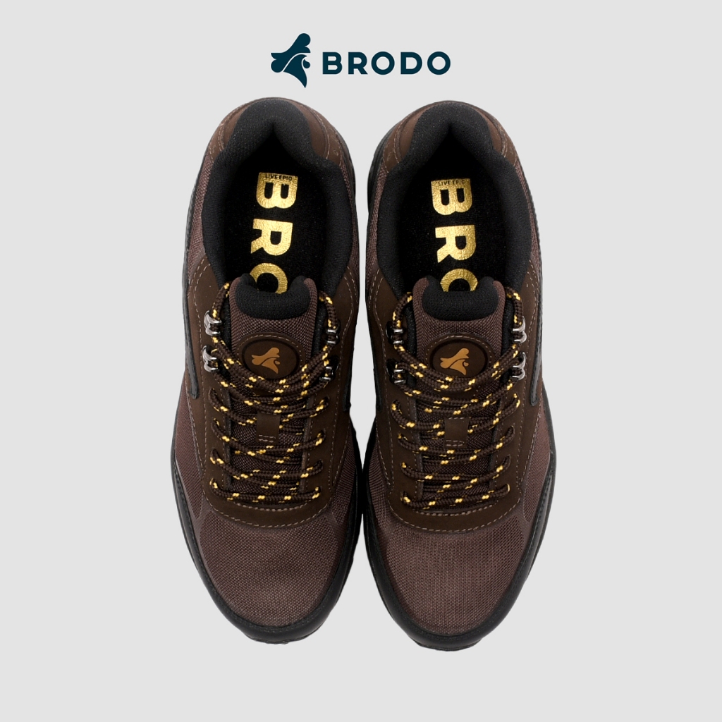 Ace Nova Venture Dark Brown