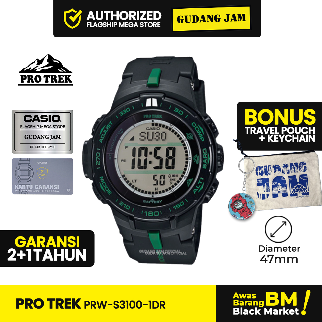 Pro Trek PRW-S3100-1DR