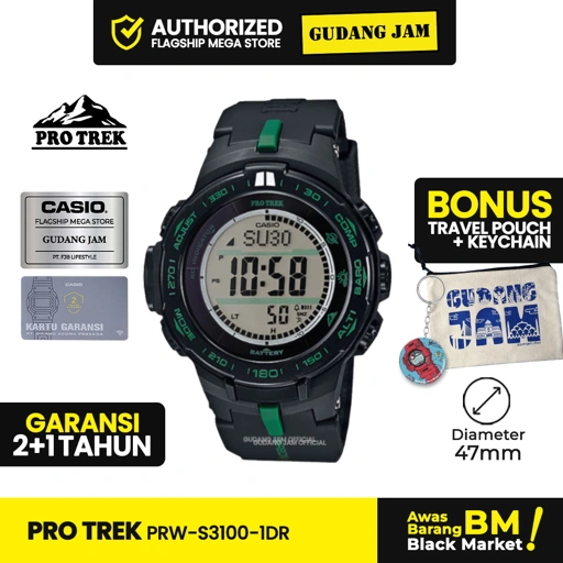 Image of Pro Trek PRW-S3100-1DR