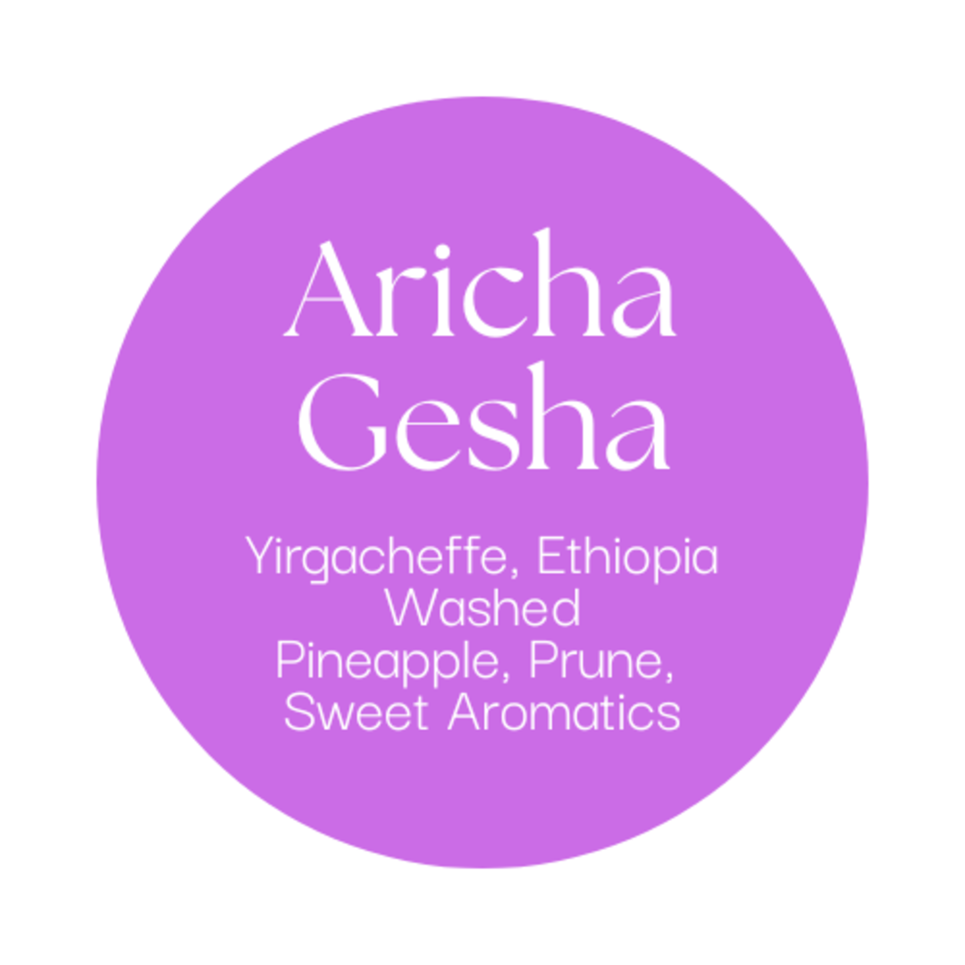 Ethiopia - Aricha Gesha Washed
