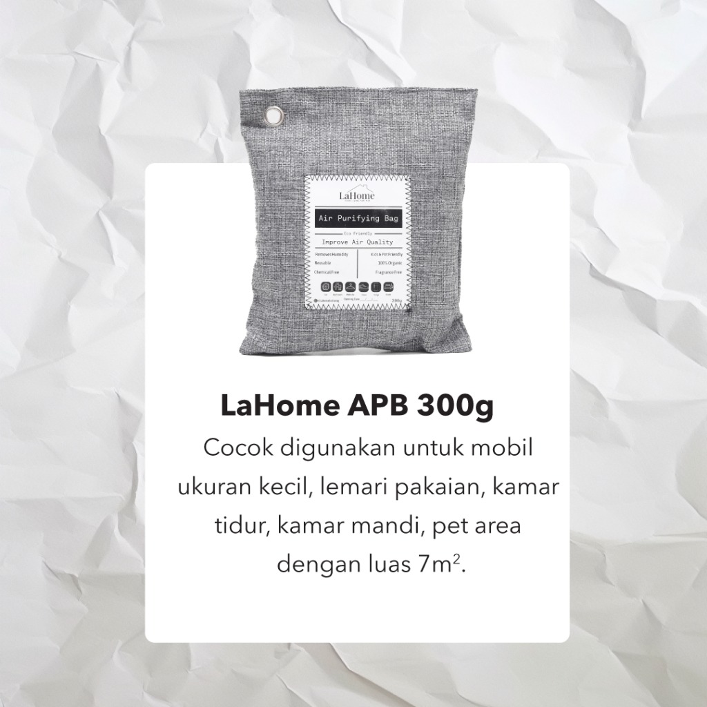 LaHome Living 300g AIR PURIFYING BAG