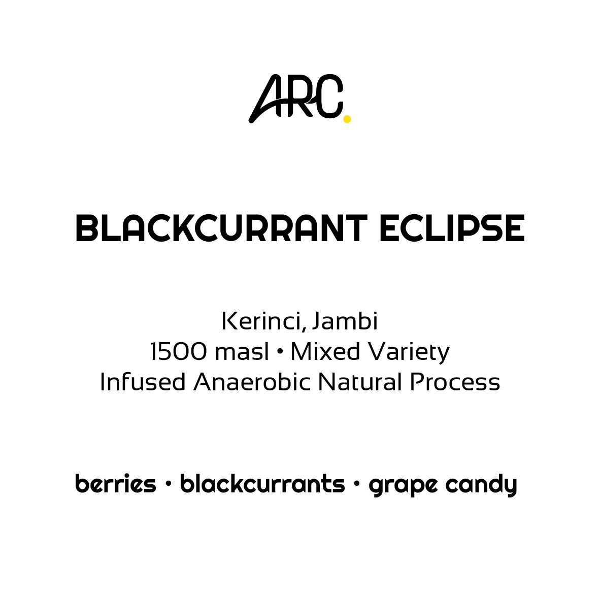 Blackcurrant Eclipse - Specialty Coffee Filter Roast by ARC