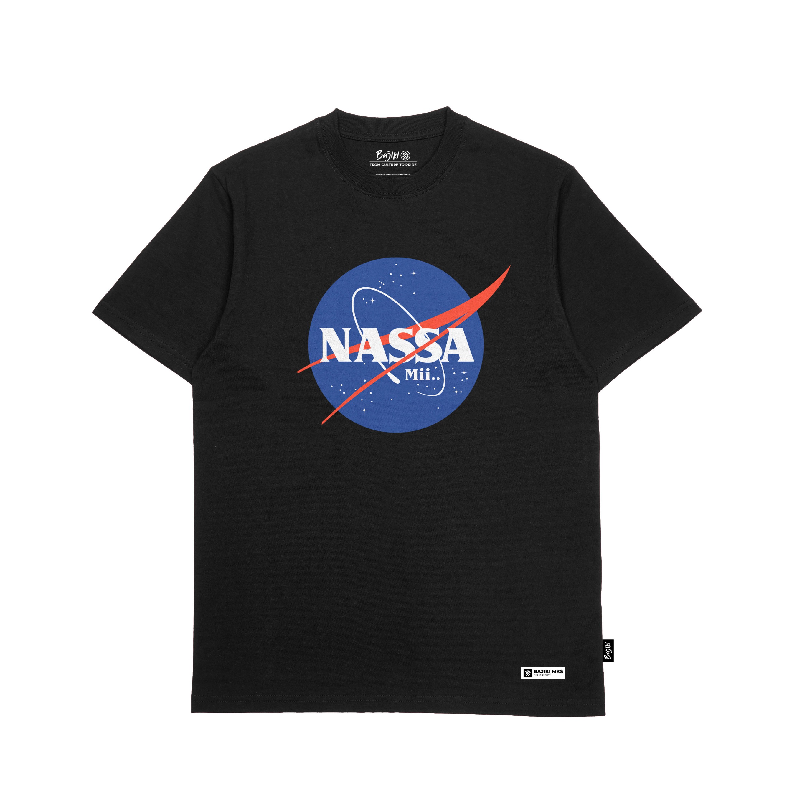 NASSA MI