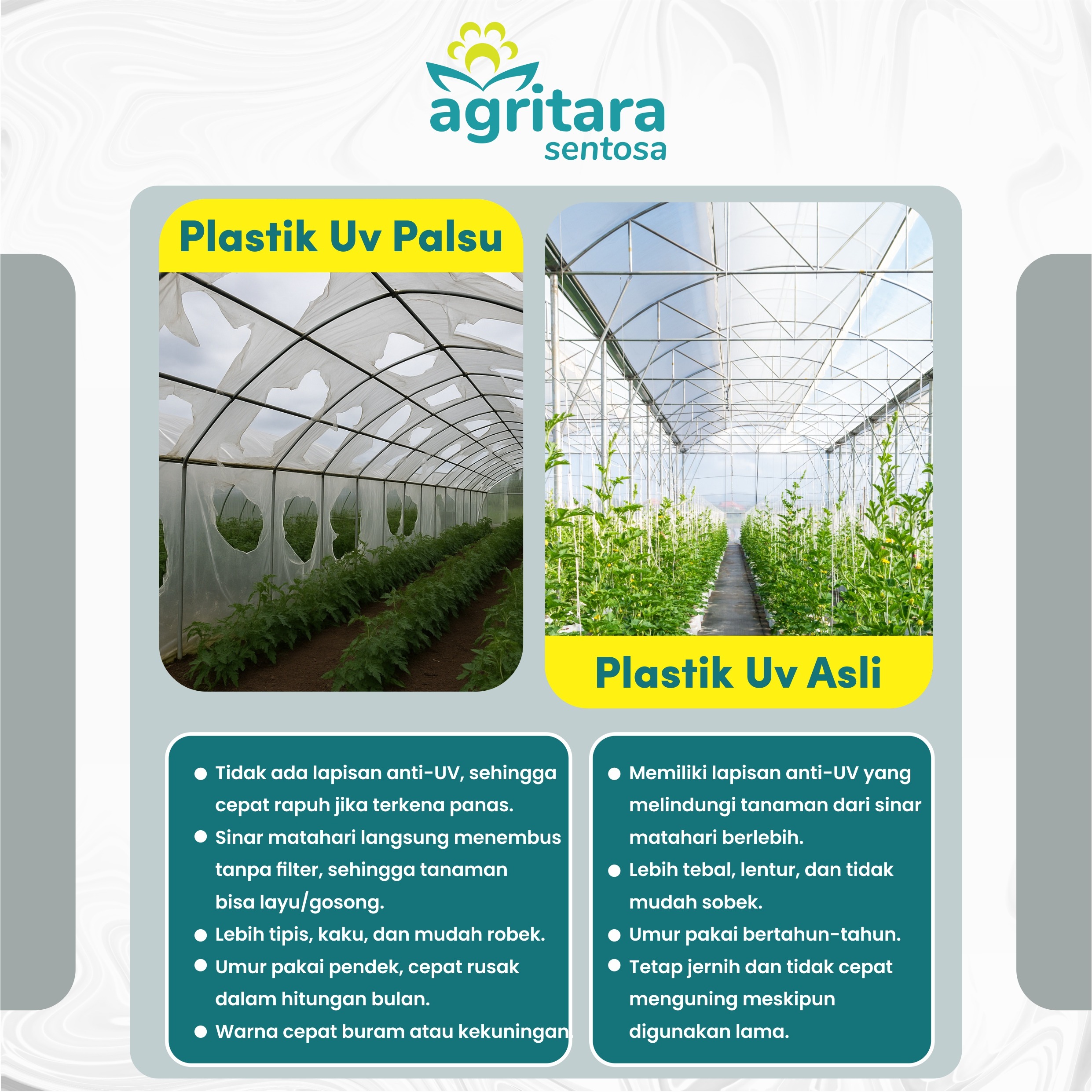 Plastik UV Greenhouse Lebar 6 Meter - Full Additive