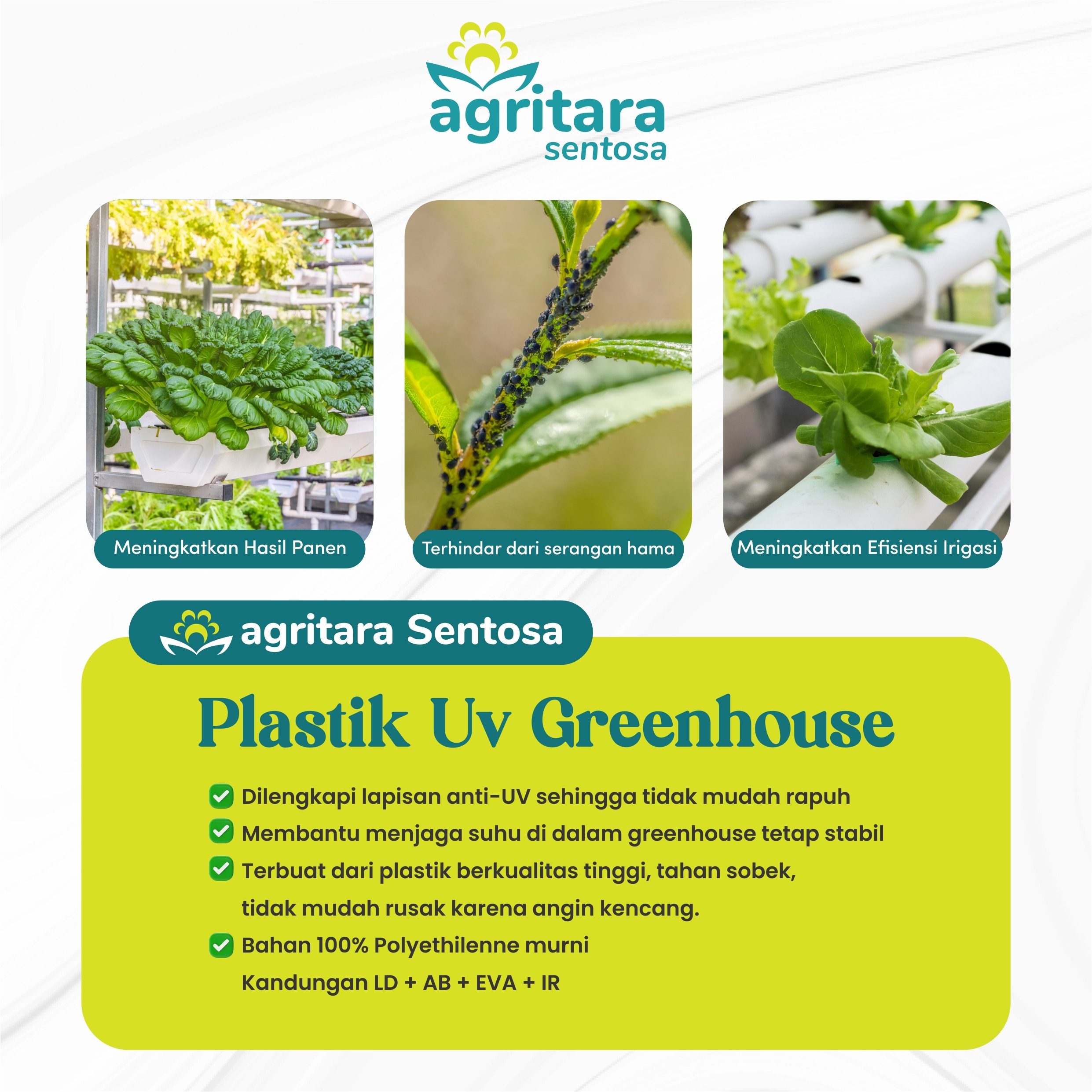 Plastik UV Greenhouse Lebar 6 Meter - Full Additive