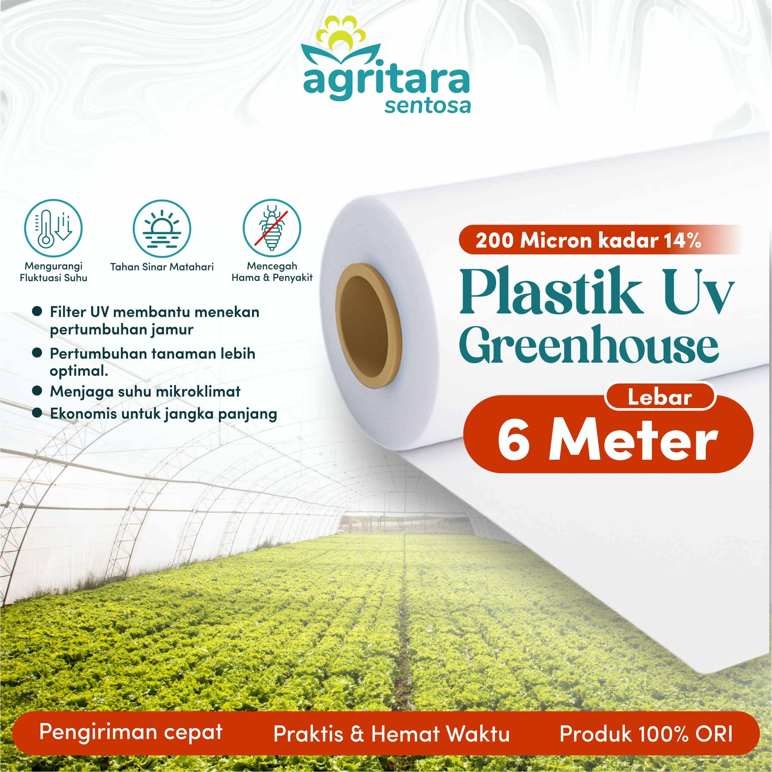 Plastik UV Greenhouse Lebar 6 Meter - Full Additive