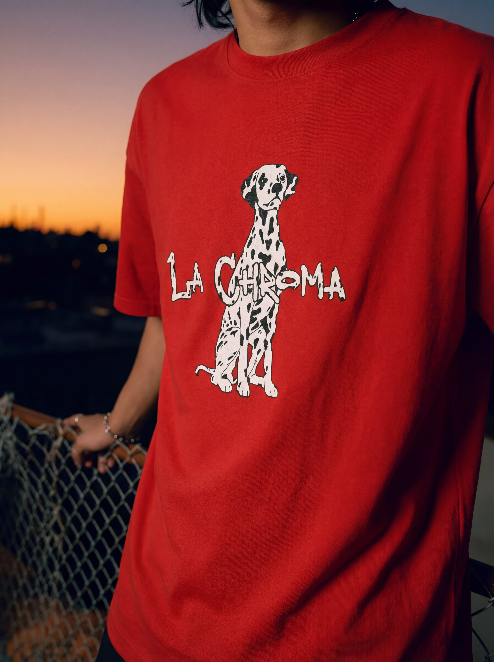 Boxy Dalmotions T-shirt