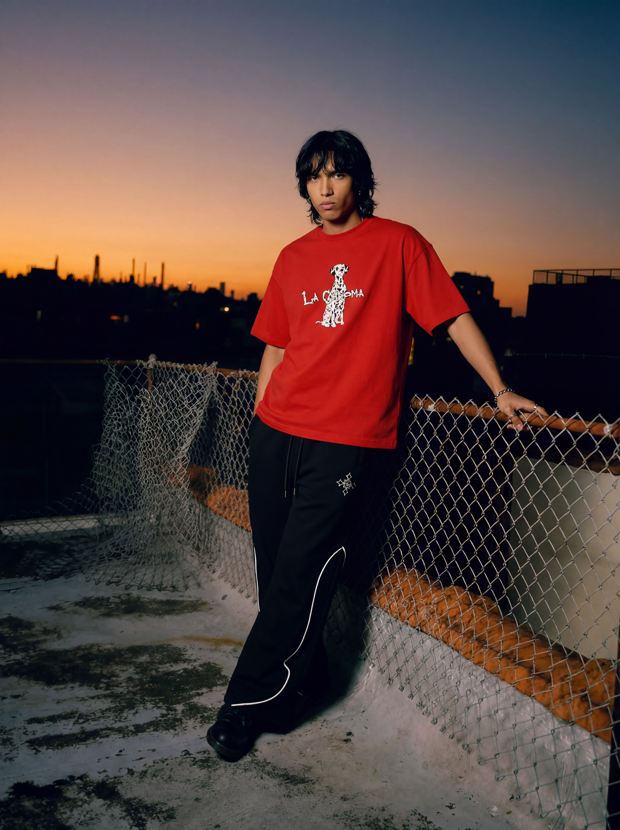 Boxy Dalmotions T-shirt