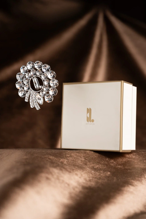 Image of GANIA BROOCH SILVER