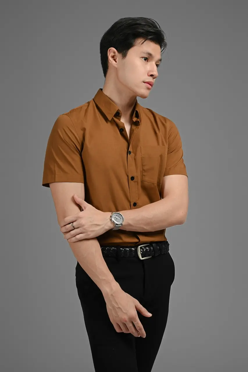 Elgant Short Sleeve Shirt Light Brown