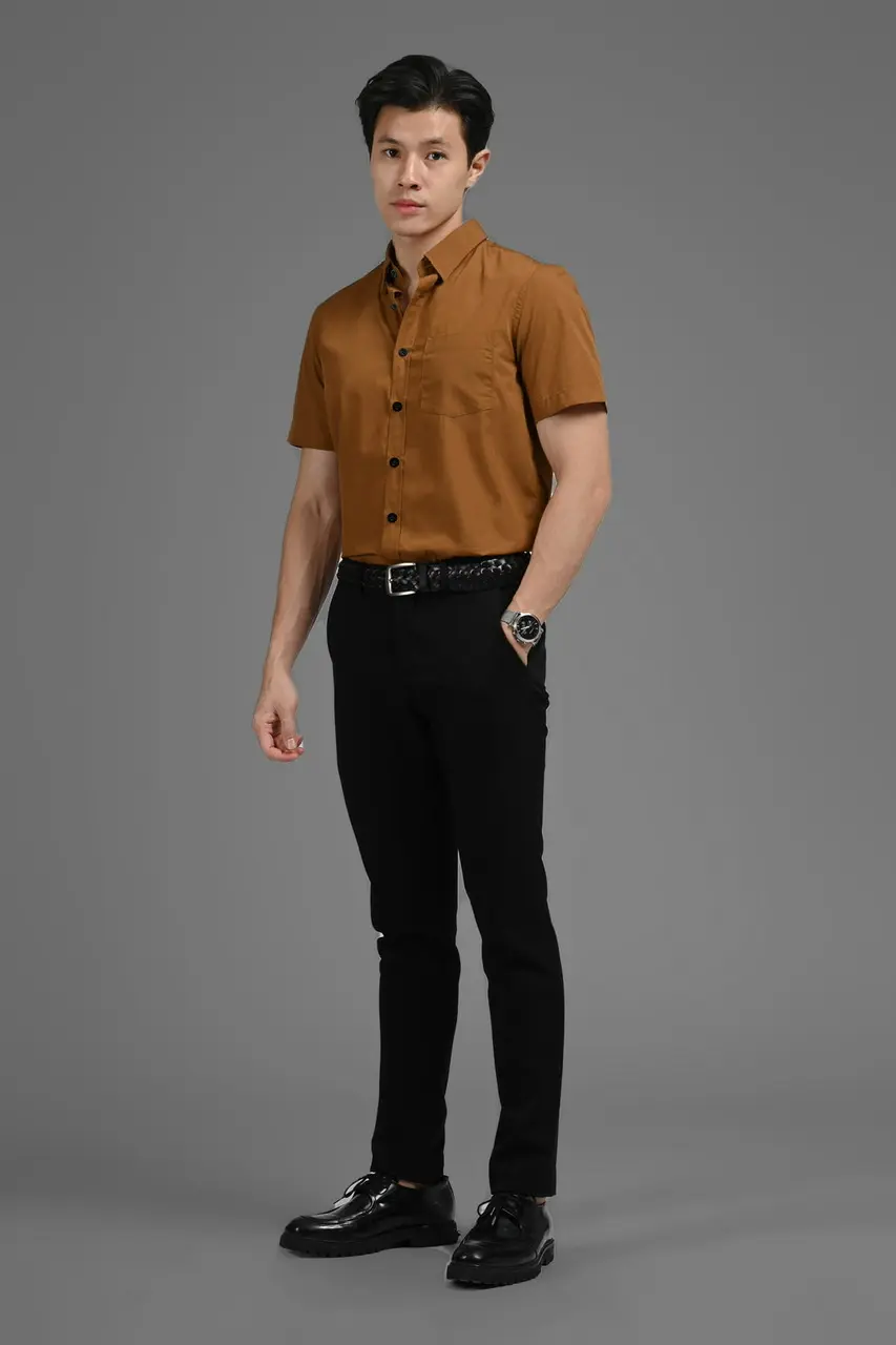 Elgant Short Sleeve Shirt Light Brown