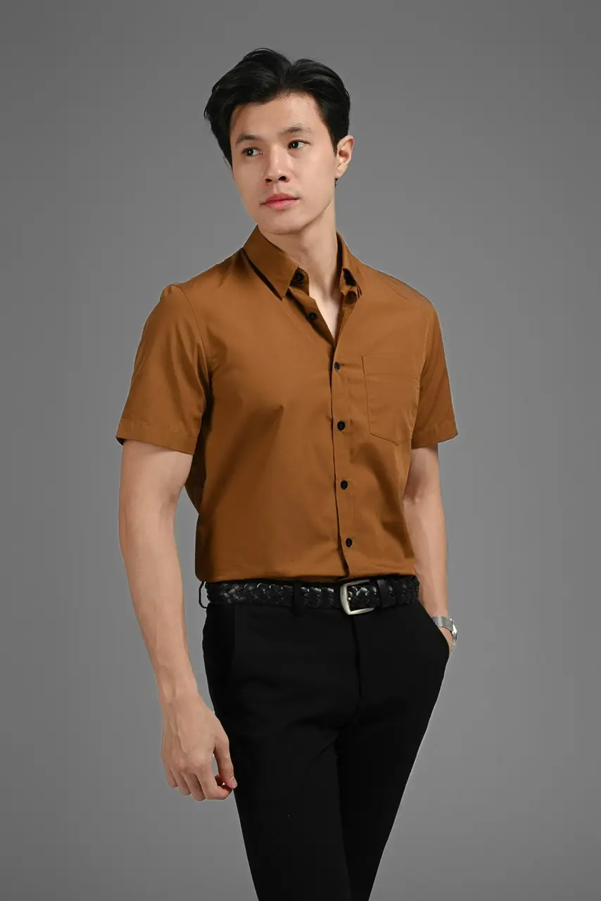 Elgant Short Sleeve Shirt Light Brown