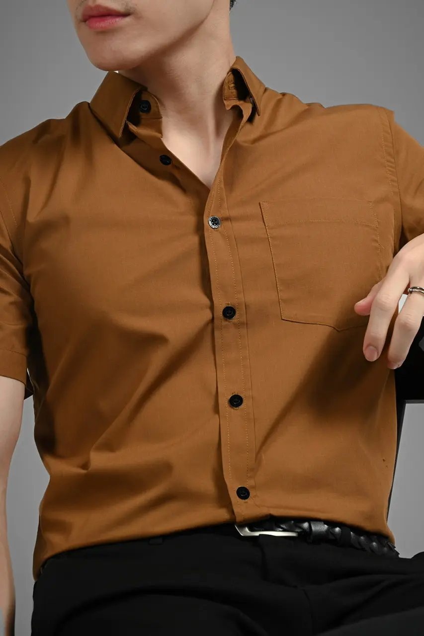 Elgant Short Sleeve Shirt Light Brown
