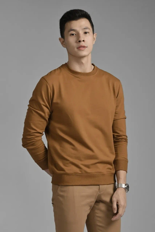 Image of BASIC SWEATER LIGHT BROWN