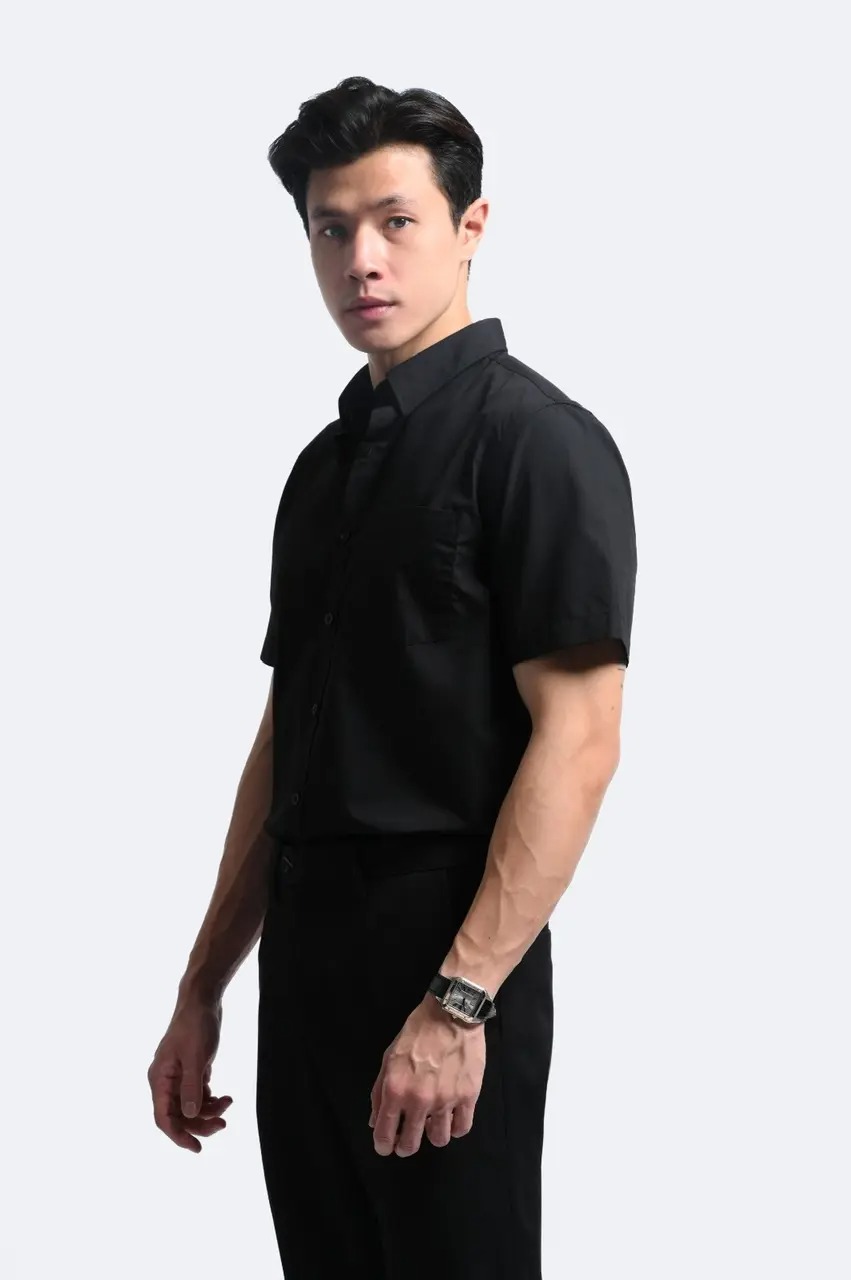 Elgant Short Sleeve Shirt