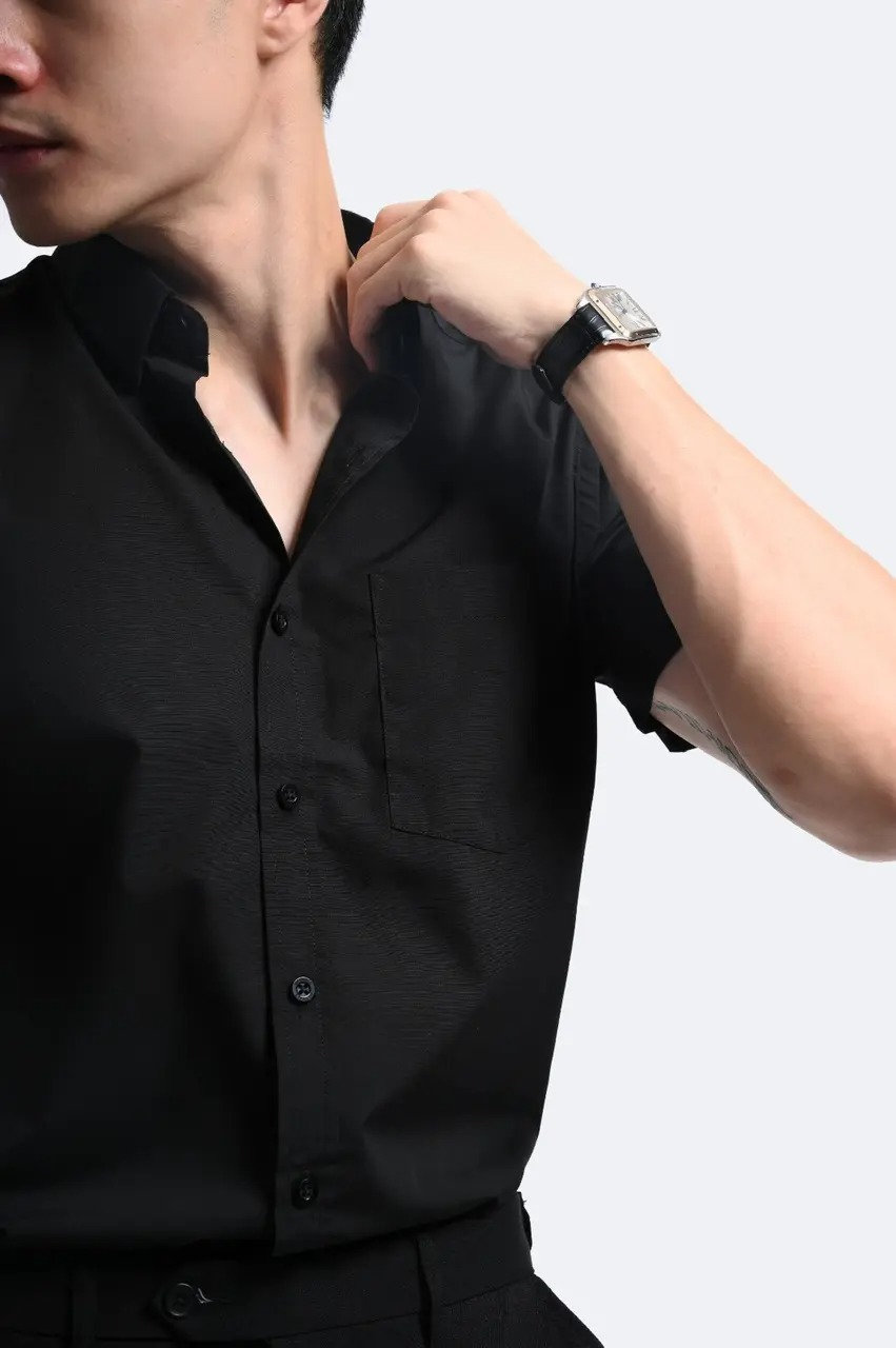 Elgant Short Sleeve Shirt