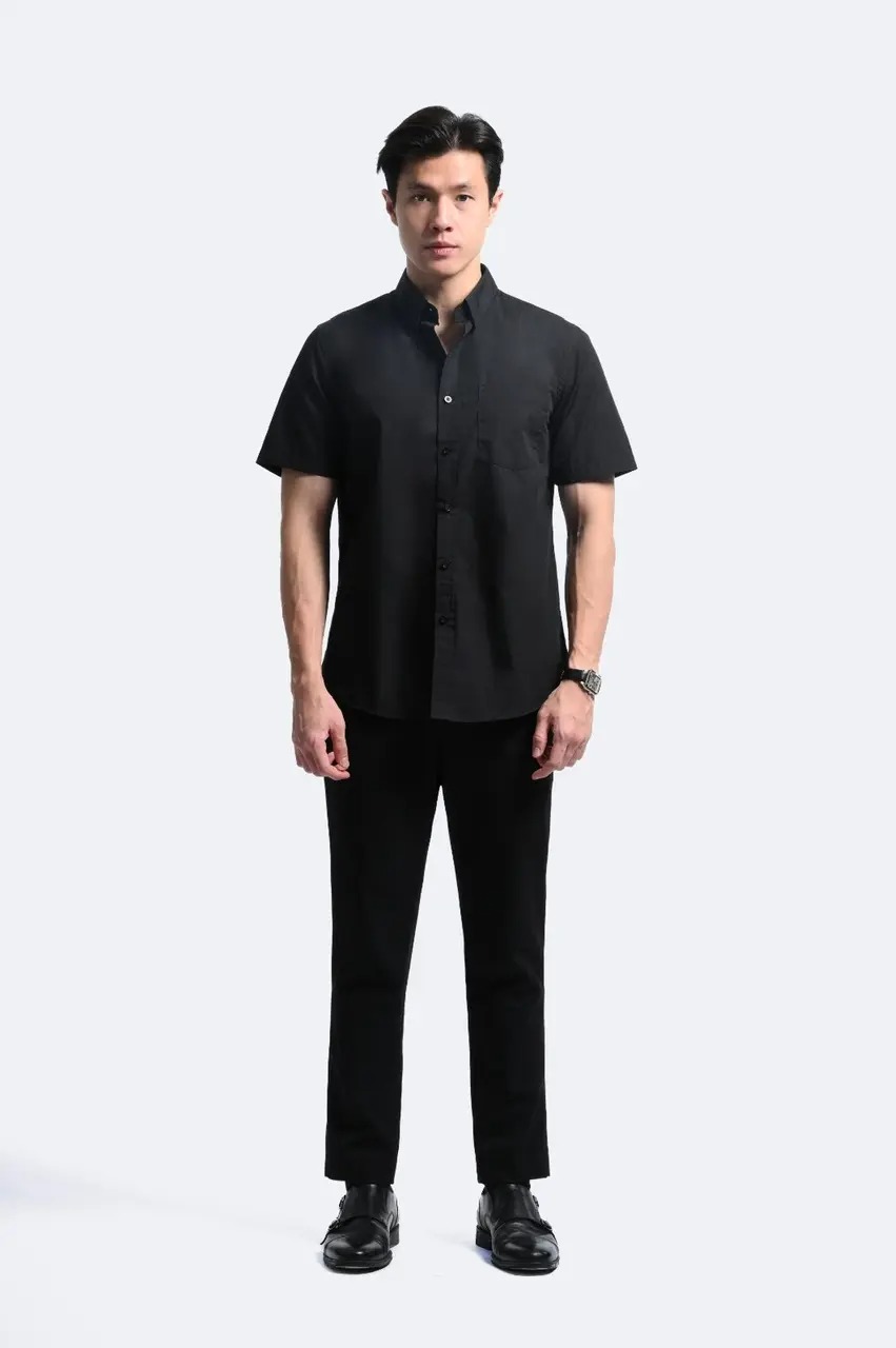 Elgant Short Sleeve Shirt