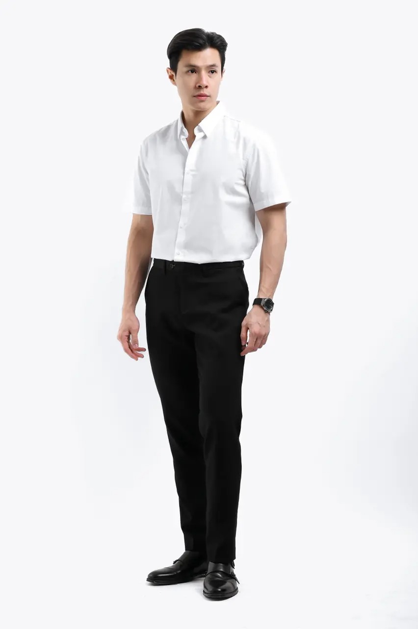 Elgant Short Sleeve Shirt Clean Look