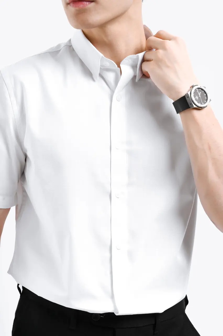 Elgant Short Sleeve Shirt Clean Look