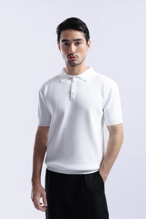 Image of Danzell Polo Knit Textured White