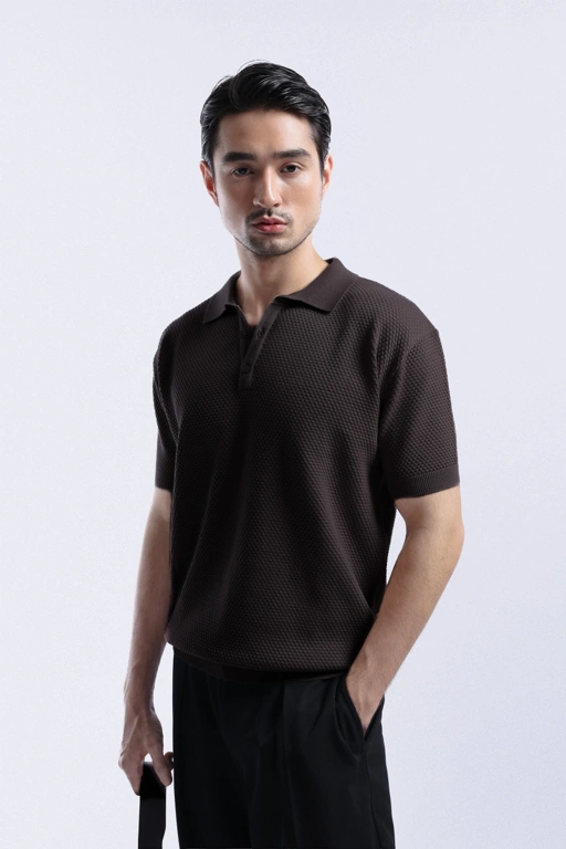 Image of Danzell Polo Knit Textured Dark Brown