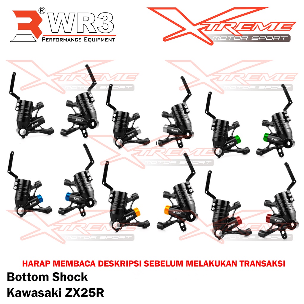Bottom Shock Double Disc WR3 Kawasaki ZX25R 4 Cylinder