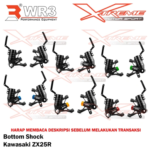 Image of Bottom Shock Double Disc WR3 Kawasaki ZX25R 4 Cylinder