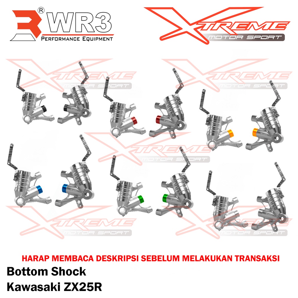 Bottom Shock Double Disc WR3 Kawasaki ZX25R 4 Cylinder