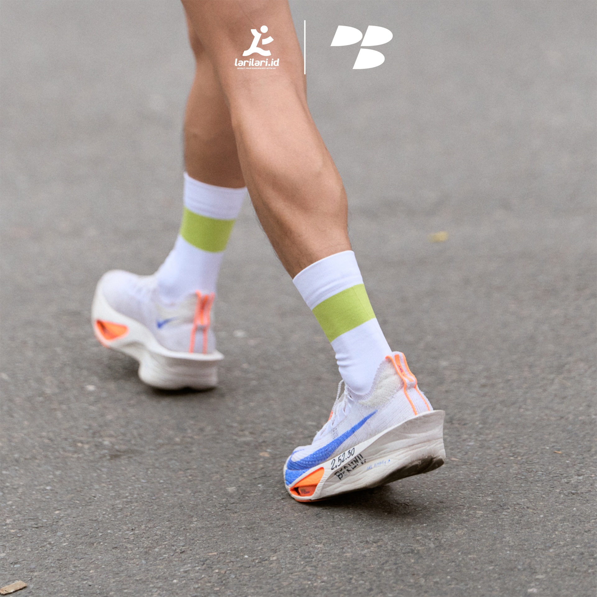 Personal Best Run - Spectrum Crew Sock - White Venom