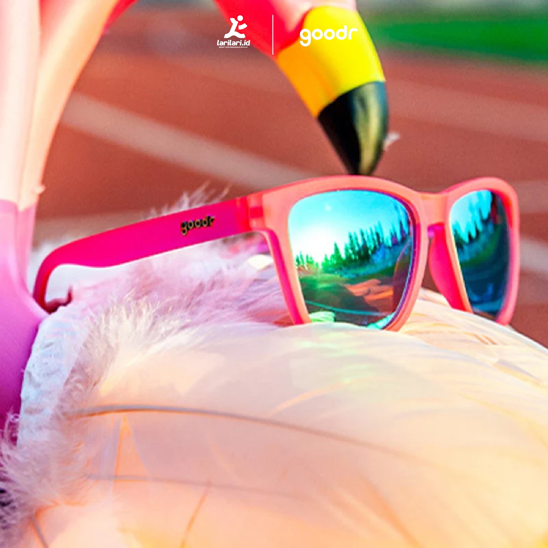 GOODR - OG - Flamingos On A Booze Cruise