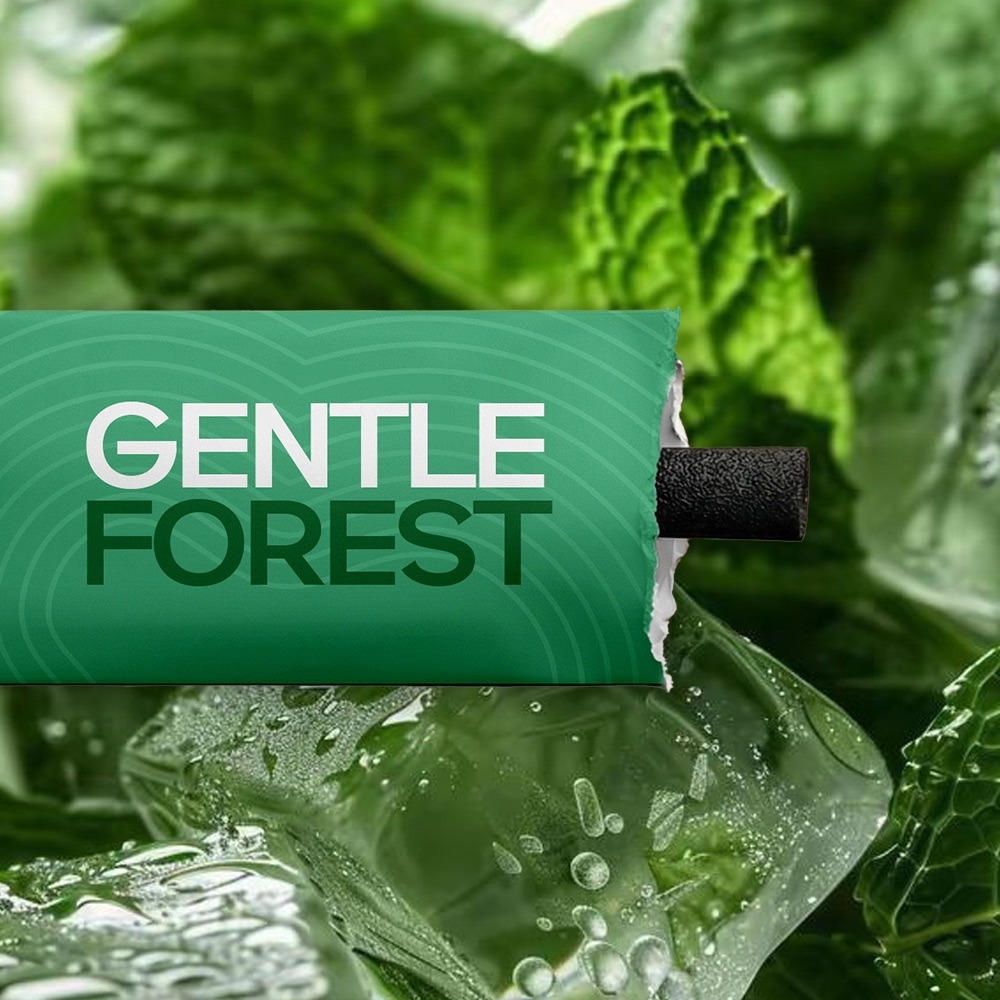 Gentle Forest