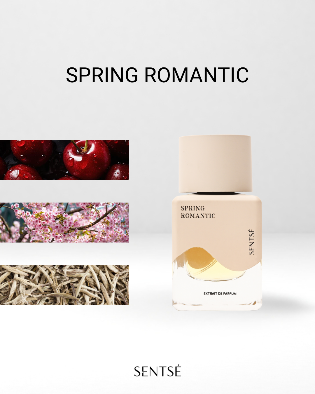 Bundling SENTSÉ Full Size Parfum 50ml + Discovery Set