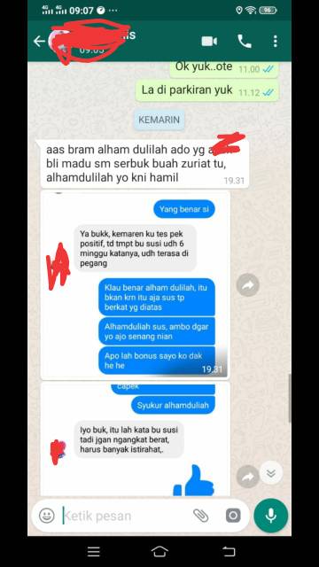 Paket Promil serbuk zuriat Al Shofa Dan Madu Promil Al Shofa