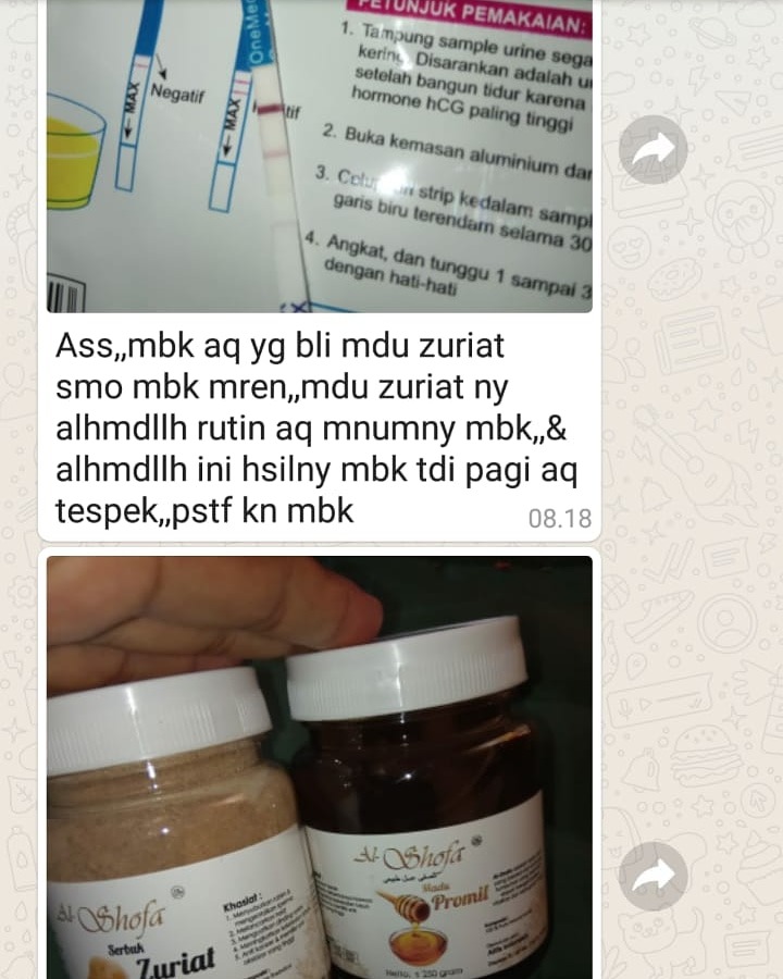 Paket Promil Serbuk Zuriat Al Shofa & Madu Promil Al Shofa Free Kardus dan bubble