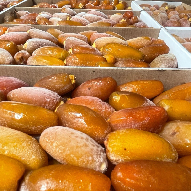 Kurma Ruthob Libya 1kg Fresh