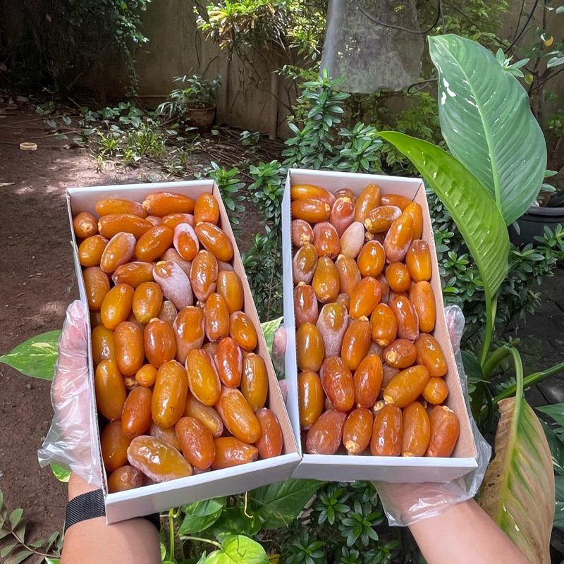Kurma Ruthob Libya 1kg Fresh