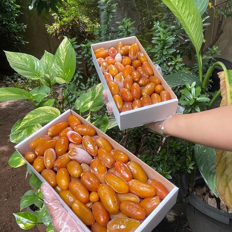 Kurma Ruthob Libya 1kg Fresh