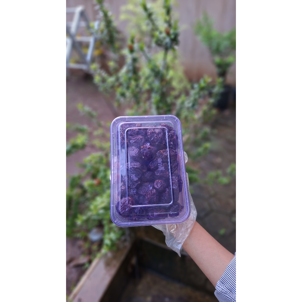 Kurma Ajwa Ekonomis 500 gram