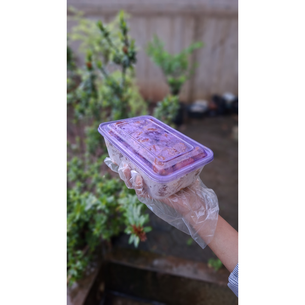 Kurma Ajwa Ekonomis 500 gram