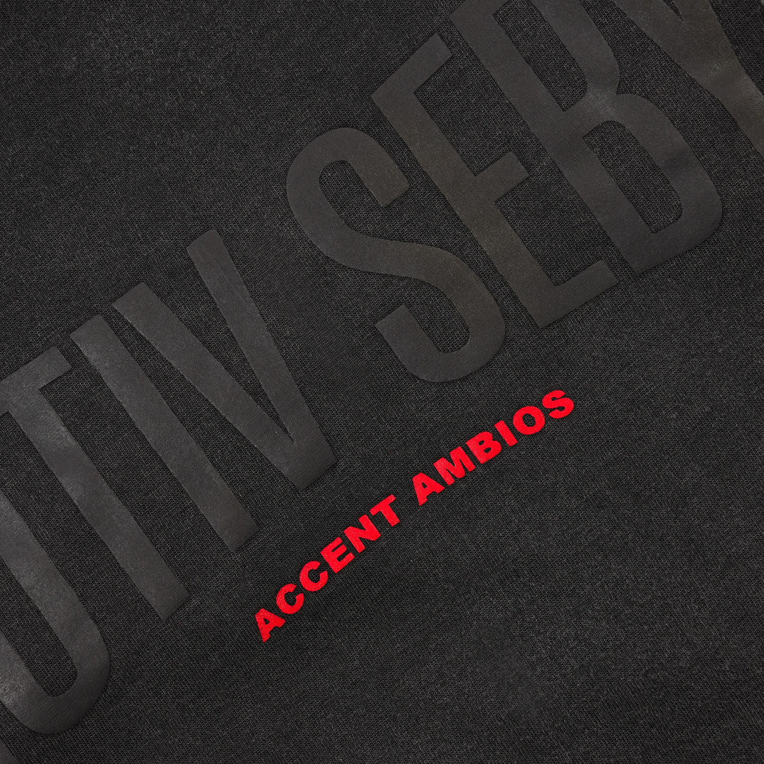 AccentAmbios Protiv Sebya - Tshirt Double Sleeve PBV