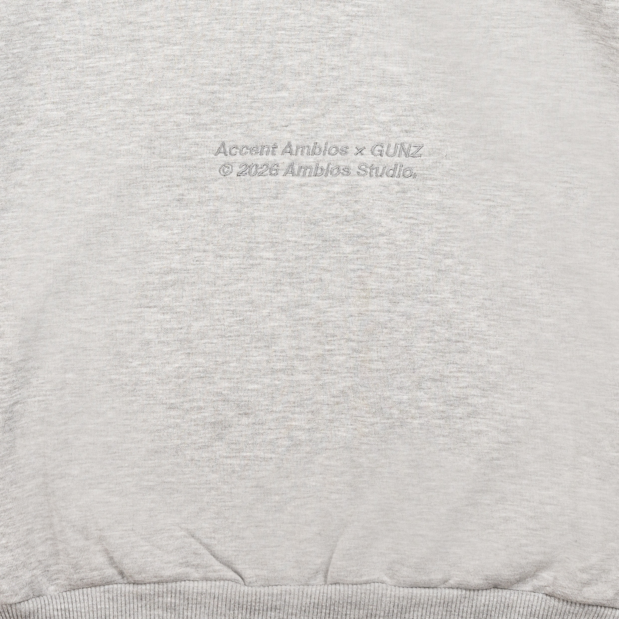 AccentAmbios x GunZ Zip Hoodie BackBone Grey