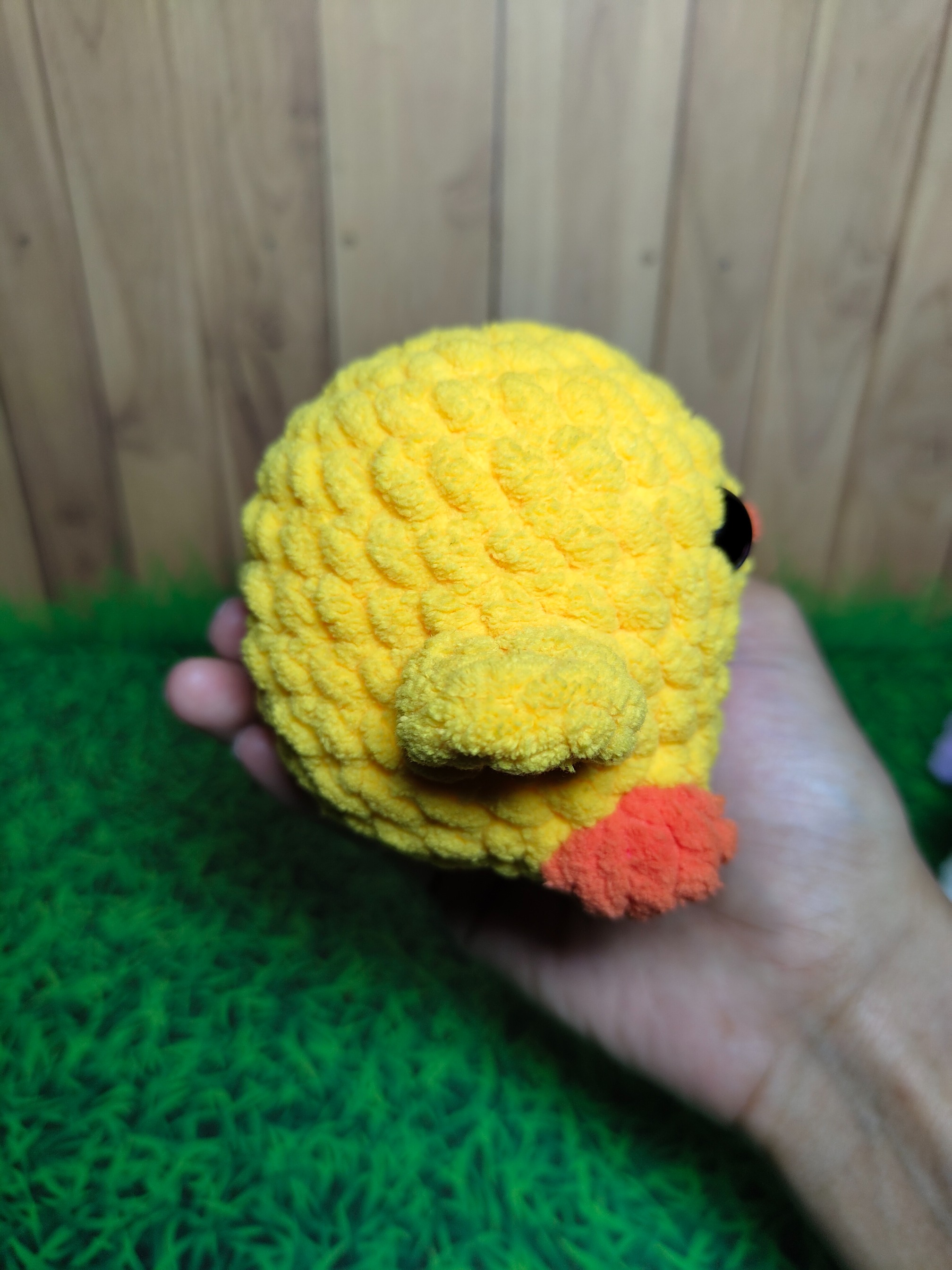Puffy Chick