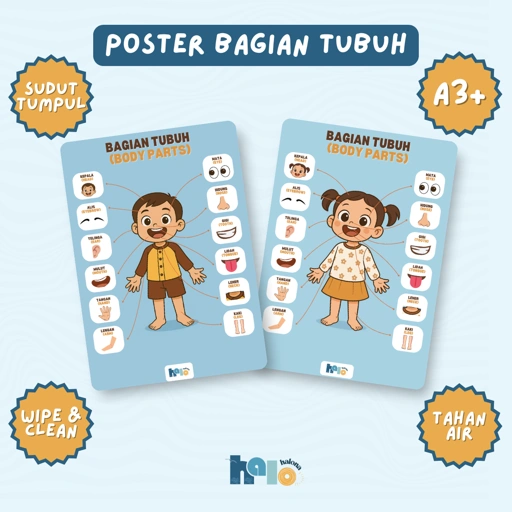 Image of Poster Edukasi Anak Bagian Tubuh Wipe and Clean Bilingual.
