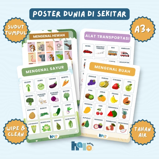 Image of Poster Edukasi Anak Mengenal Sayur Buah Hewan dan Alat Transportasi Wipe and Clean Bilingual.